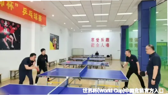 核心团队与专业资质